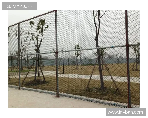 深入分析北京网球队包夹打法的战术特点与应用效果